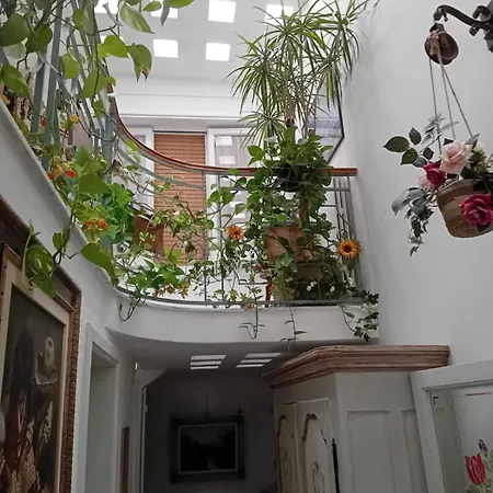 Casa Del Conte 公寓 帕拉比塔