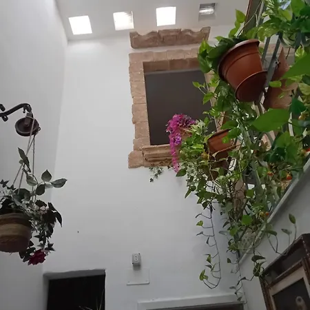 아파트 Casa Del Conte 파라비타